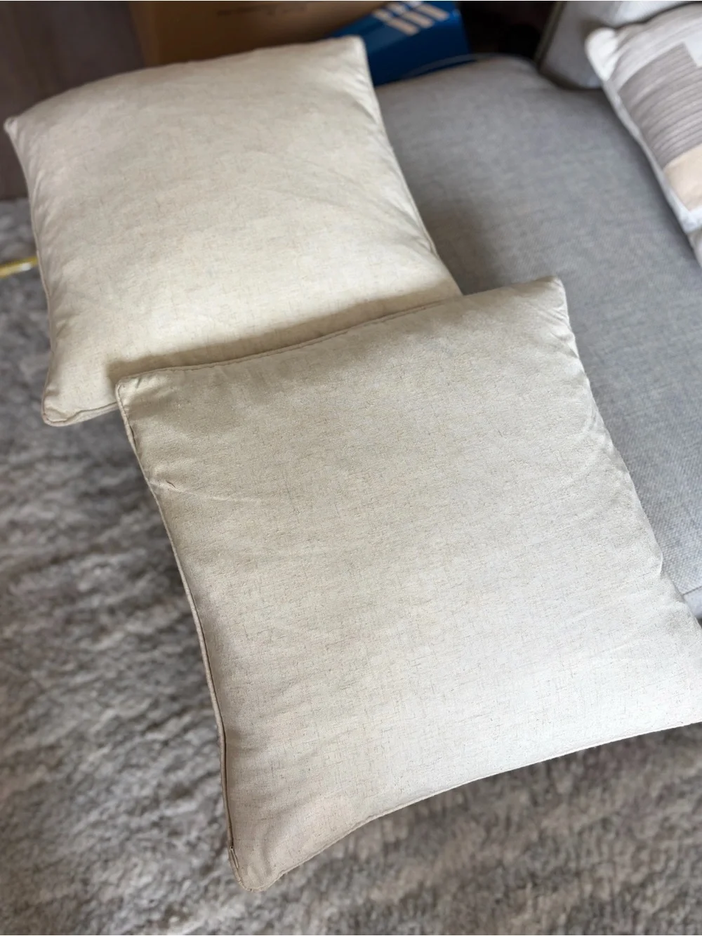 Neutral Cream Decorative Throw Pillow - Set of 2
